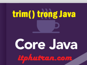trim() trong Java